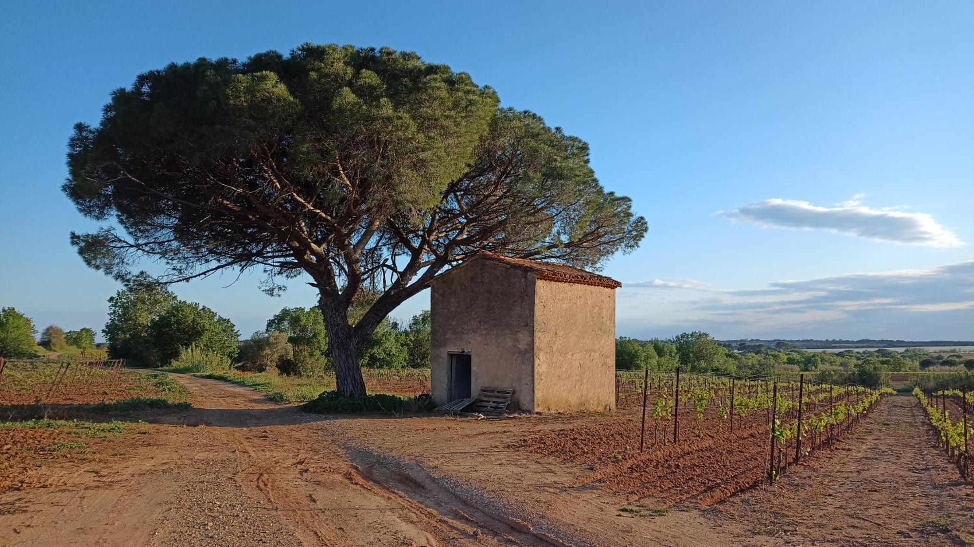 Villa Pays D'Oc Béziers Exterior foto